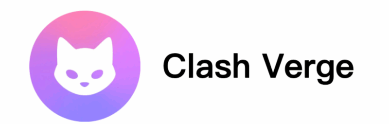 Clash Verge进阶玩法:彻底解决IP泄漏(WebRTC/DNS)+ 自定义分流配置教程-微生之最