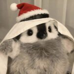 微生的头像-微生之最