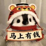 微生的头像-微生之最